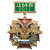 Медаль ДМБ 2016 (зел.)