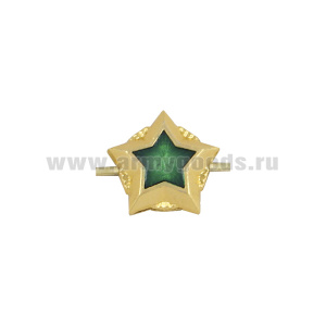 Звезда на погоны мет. 13 мм ФССП (зол. с зел. эмалью)