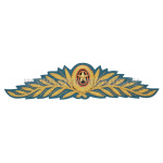 Кокарда канит. (золото 3%) ВВС-ВДВ-КВ генеральская с 2010 г. (голубой фон)