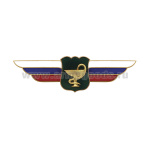 Значок мет. Должностной знак начальника госпиталя, поликлиники, центра, санатория, базы отдыха