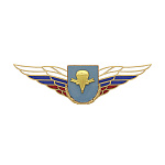 Значок мет. Должностной знак командира бригады и ей равного соединения (ВДВ) (№81)