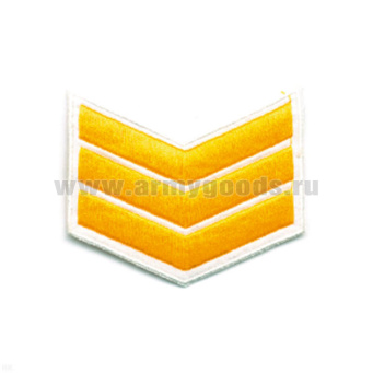 00000006027