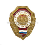 Значок мет. Отличник ЖДВ