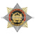 Значок мет. Орден-звезда Полиция Образовательные учреждения