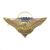 Значок мет. 21 ВДБр (серия орел с парашютом, крылья в стороны с названиями дивизий ВДВ)