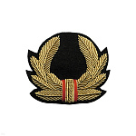 Кокарда канит. лат. Пустая