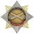 Значок мет. Орден-звезда Украина Артилерийские войска