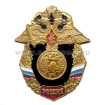 Значок мет. ЖДВ (серия Россия)
