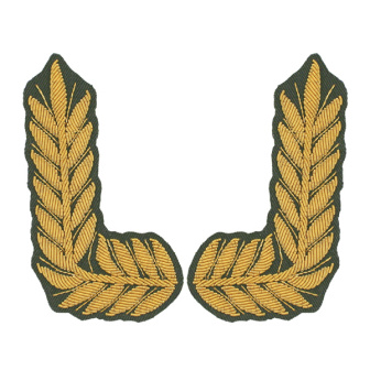 Орнамент канит. (золото 3%) на воротник ВС генеральский с 2010 г. (оливковый фон)