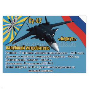 Магнит виниловый (гибкий) СУ-47 Беркут палубный истребитель