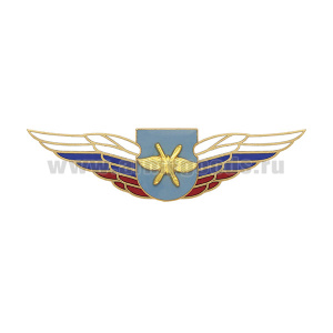 Значок мет. Должностной знак командира отдельного батальона (ВКС) (№51)
