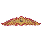 Кокарда канит. (золото 3%) ВС генеральская с 2010 г. (красный фон)